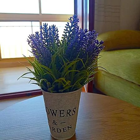 דירה Rocio Del Mar טורבייחה