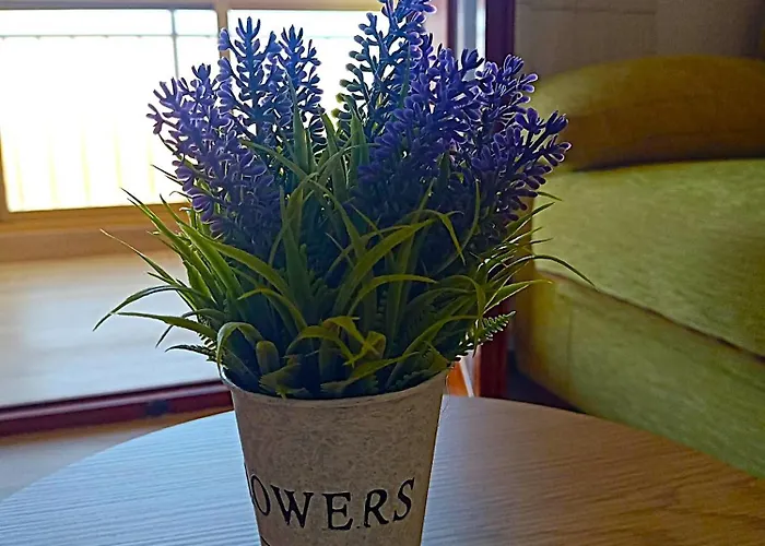 Apartment Rocio Del Mar Torrevieja